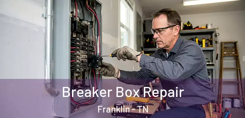  Breaker Box Repair Franklin - TN