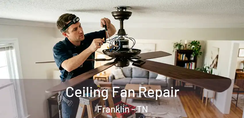  Ceiling Fan Repair Franklin - TN