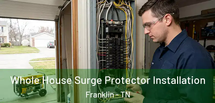  Whole House Surge Protector Installation Franklin - TN